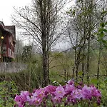 Отель Azabache Cardes