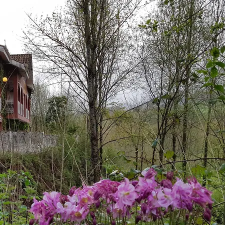 מלון Azabache Cardes