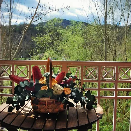 Azabache Cardes מלון 2*