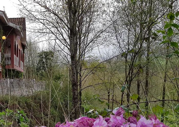 Hotel Azabache Cardes