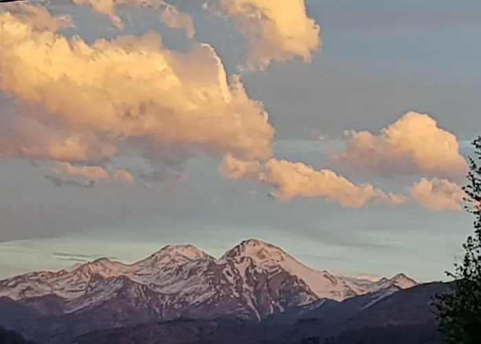 Azabache Cardes Onís